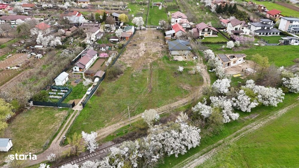 Dom00452 - teren snagov 3560 toate utilitatile acces asfalt (se poate