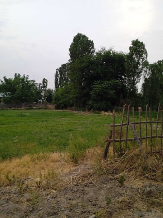 Yer sotiladi qurilish uchun ham dehqonchilik qilishgayam zór yerlar