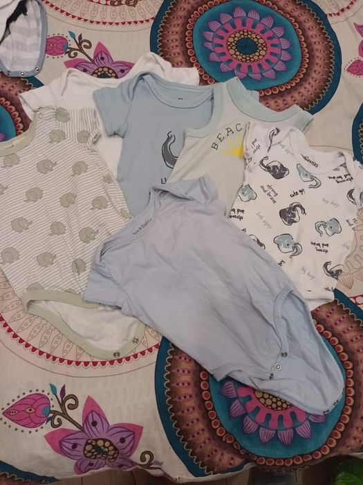 Бодита, якенца, космонавт