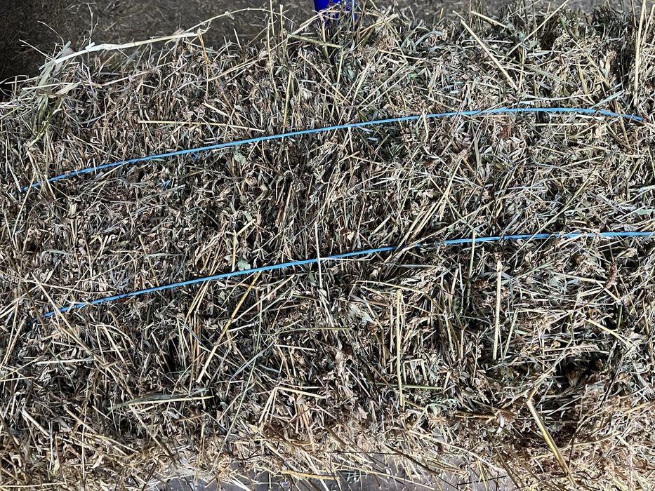 Vand baloti de lucerna