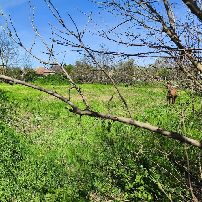 Продавам къща в село Овчарово,Добрич
