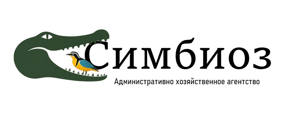Ремонт помещений, сантехника, электрика, монтаж и покраска — Шымкент