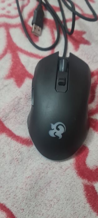 Клавиатура и мышь