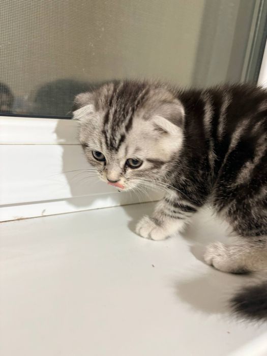 2 малчик 1 девочка