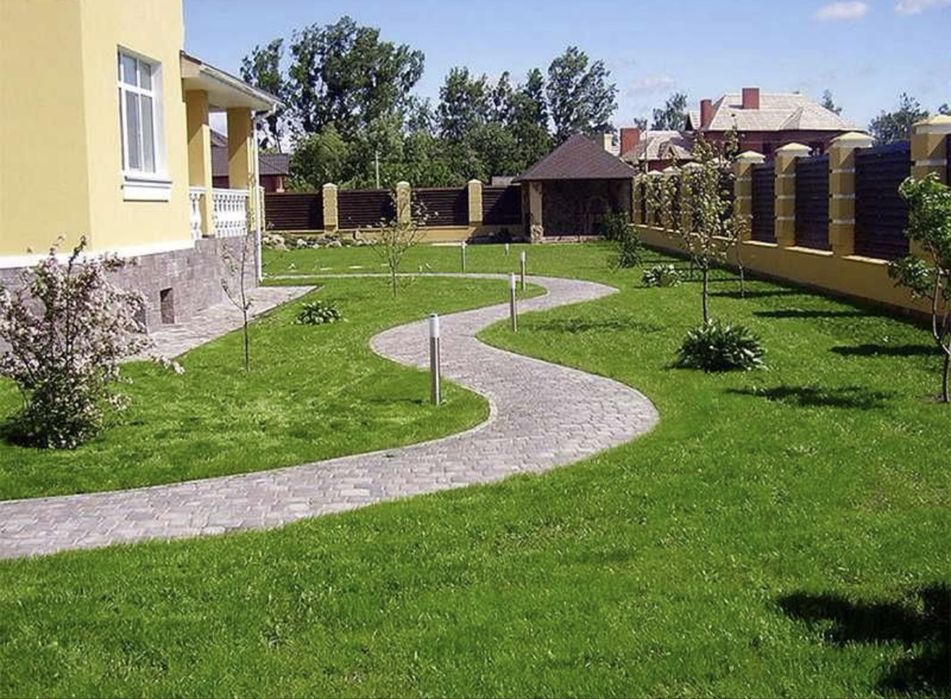 Зелёный газон для участка, сада и двора