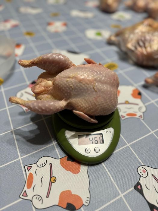 Продам мясо перепелов