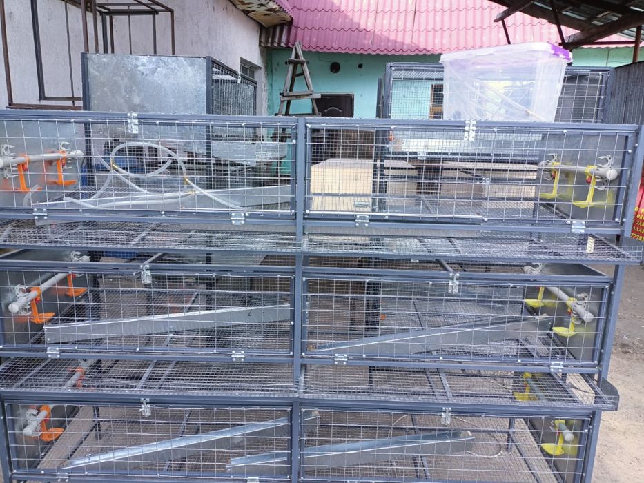 Клетка для все видий птицов.  На заказ