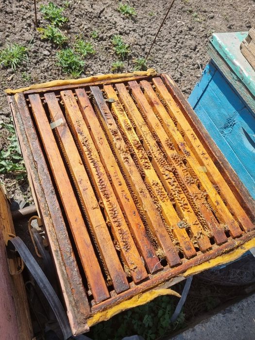 Продам улья для пчёл с рамками