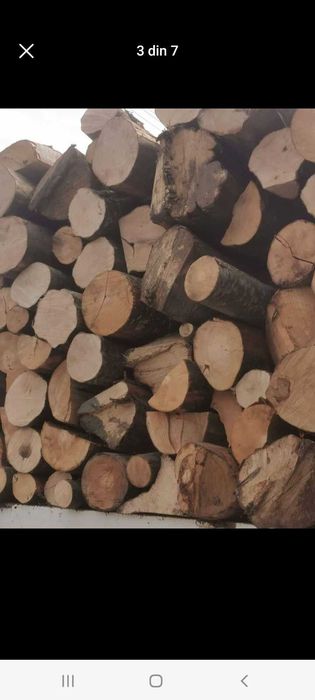 Lemne de foc fag carpen brad