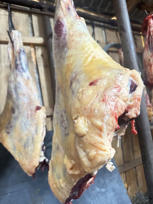 Говядина мясо ет