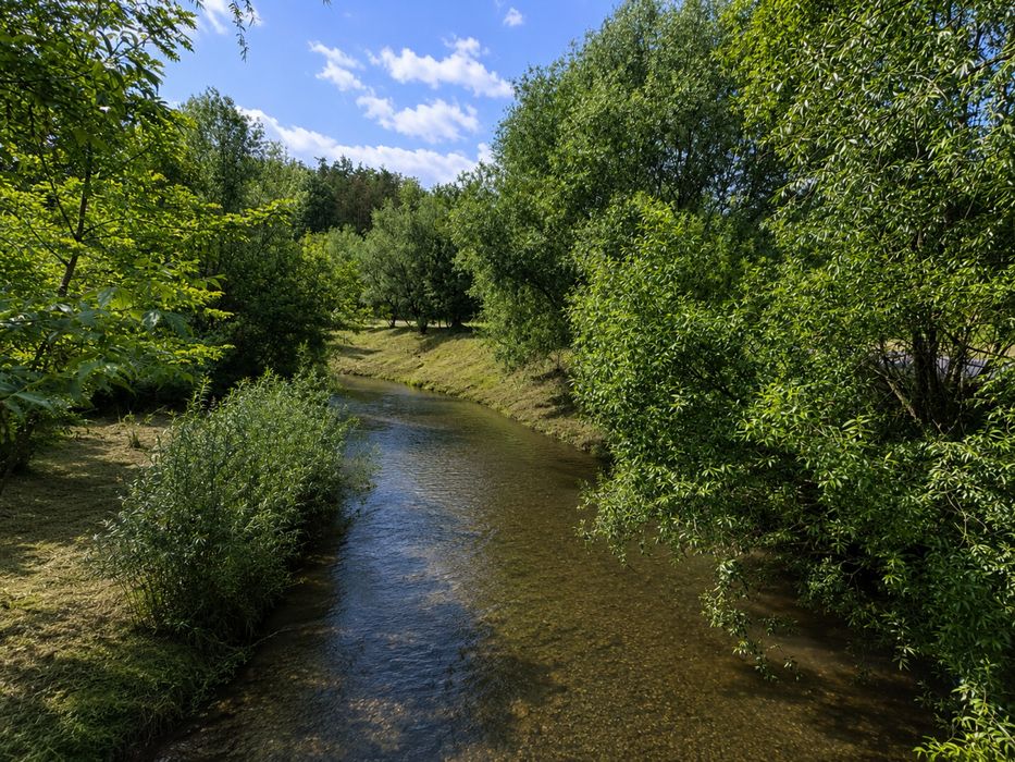 Teren intravilan pentru casa sau cabana ,lângă râul Barcău – panoramă superbă, zonă liniștită
