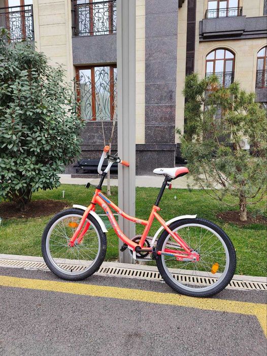 Детский велосипед (6-9 лет, диаметр 20)