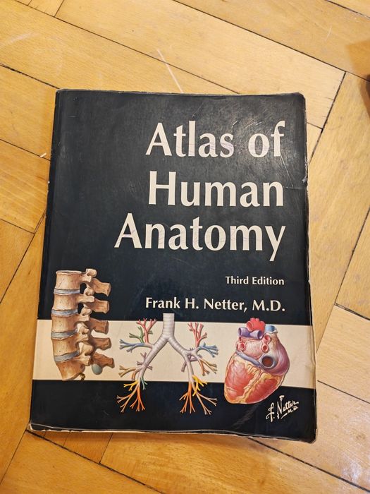 Atlas of human anatomy