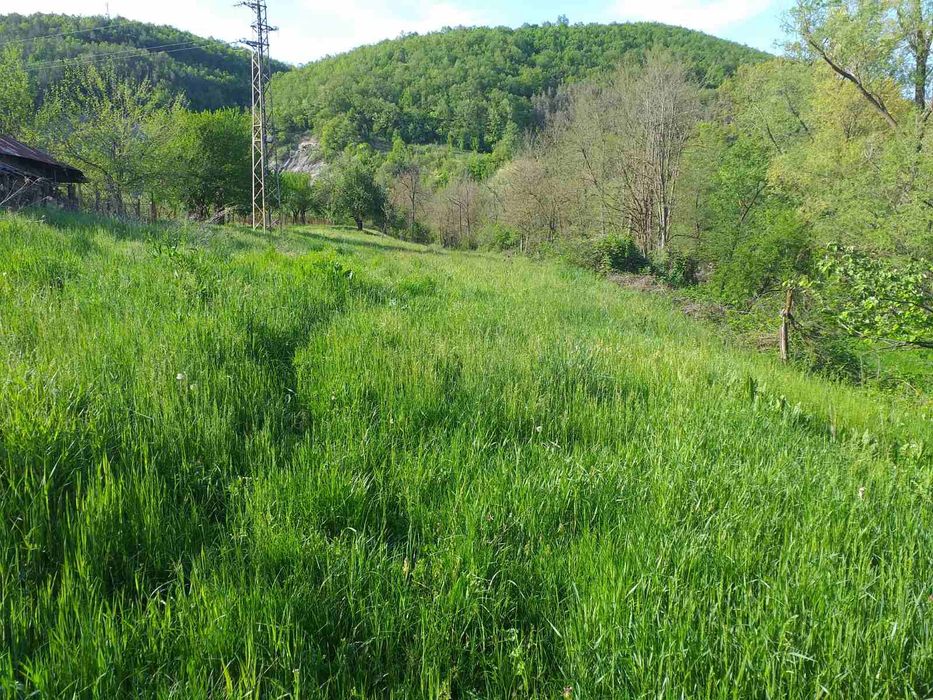 Продава се Парцел в Горна Оряховица - 1800 кв.м за 6 €/кв.м - Снимка #1