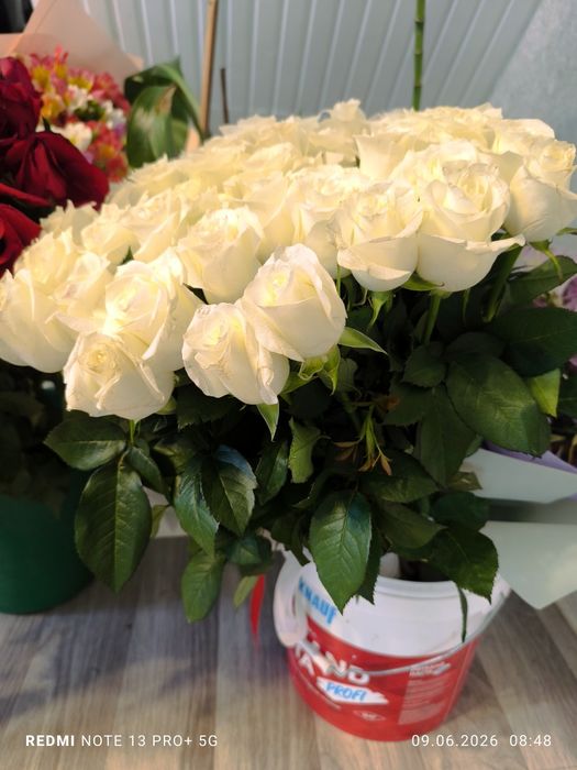 Продам цветы получено сегодня