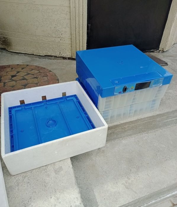 Инкубатор Умница