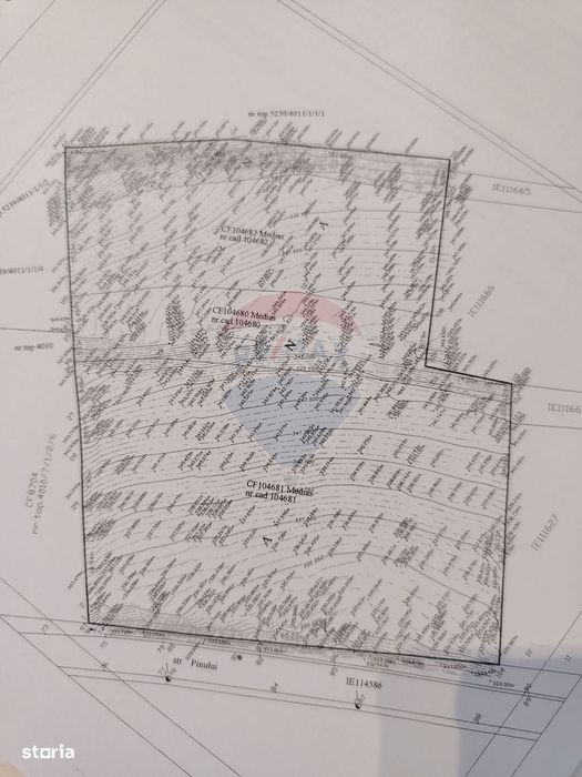 Teren 5,546mp Medias / Strada Pinului