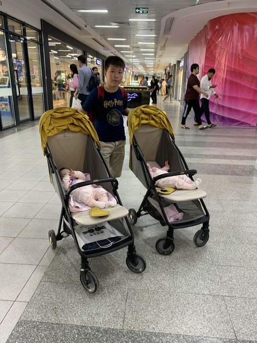 Коляска joie past pro