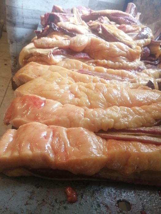 Мясо конина на согым