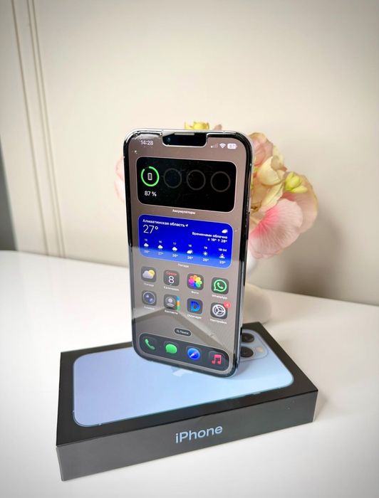 iPhone 13 Pro Max