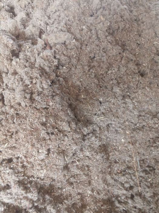 Пахта маҳсулоти ем