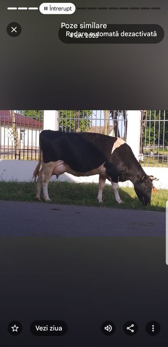 De vînzare Pogoanele .Buzău.