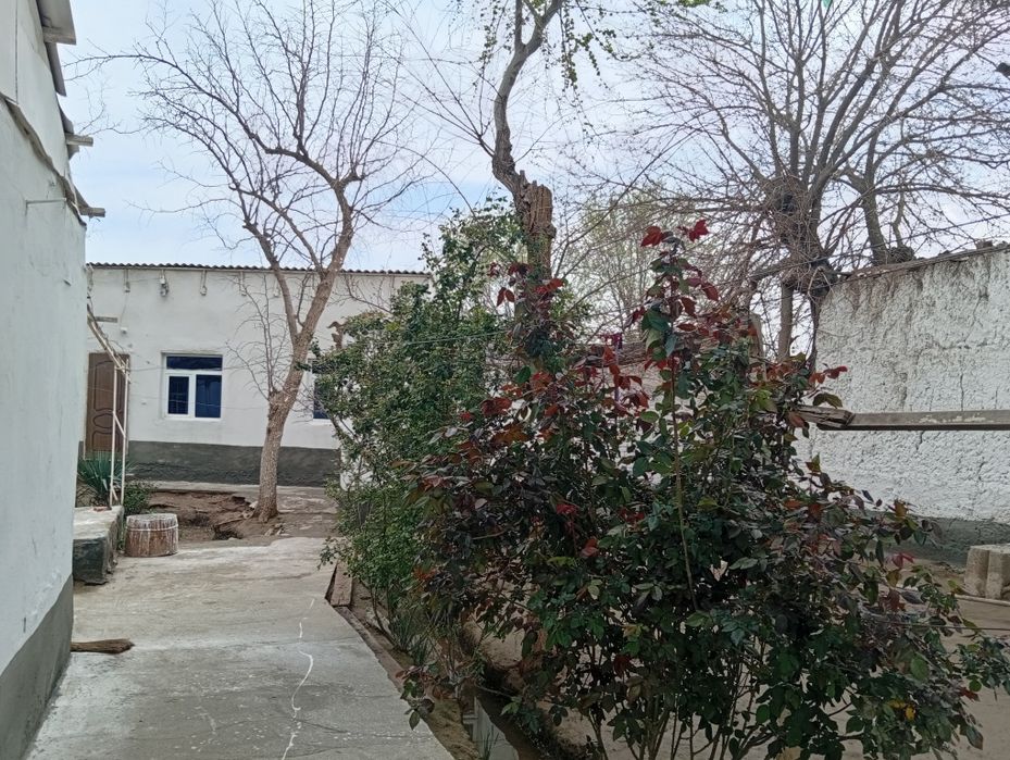 7 hona uy 23 sotix erli hovli sotiladi