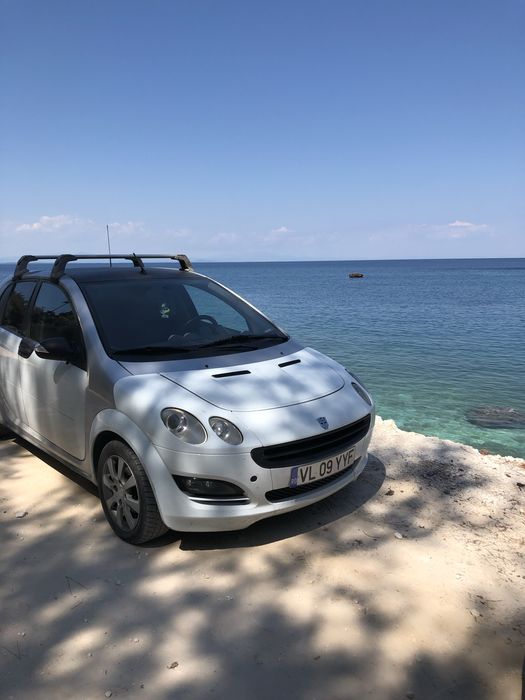 Bare portbagaj originale Smart Forfour + suport schiuri