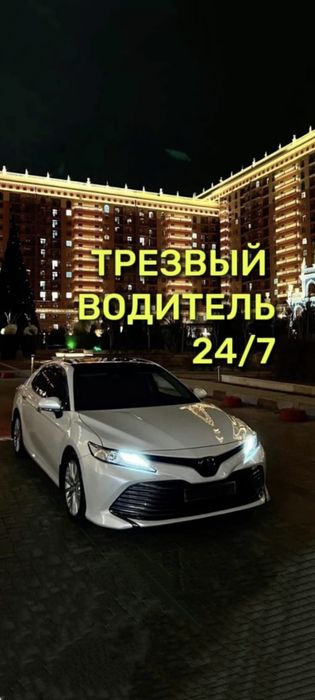 Трезвый водитель