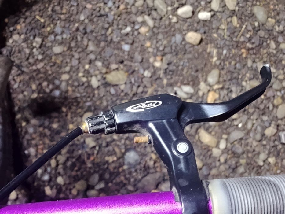 Велик талдыкорган каласы