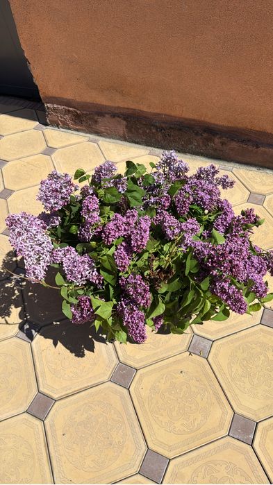 Цветы и букеты с оформлением