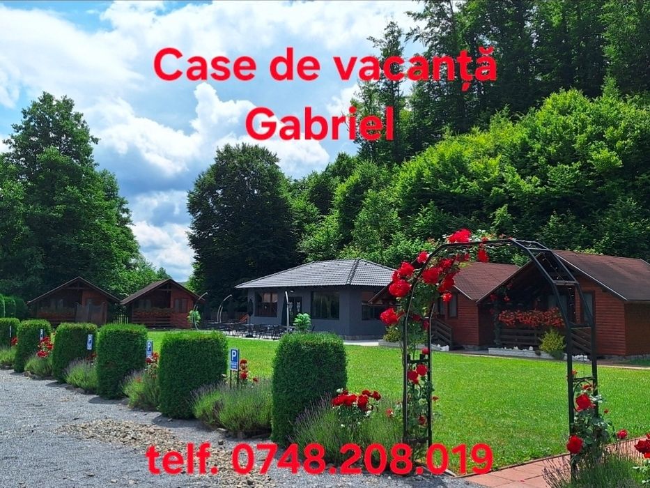 Cazare Sovata - Case de vacanță Gabriel