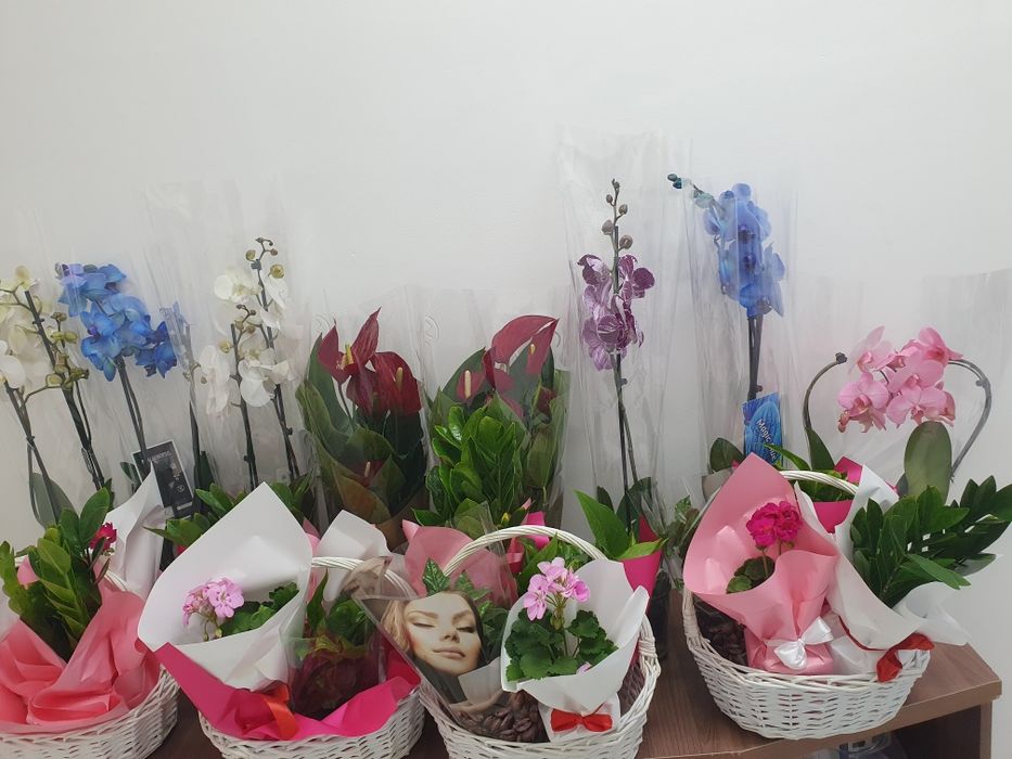 Тірі гүлдер. Живие цветы