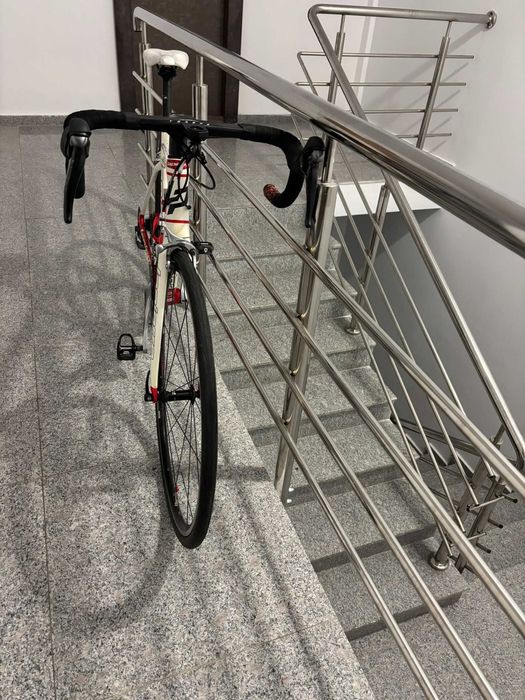 Cursiera Lapierre Sensium