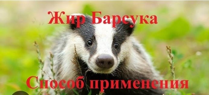 Гусинный и Барсучий  жир