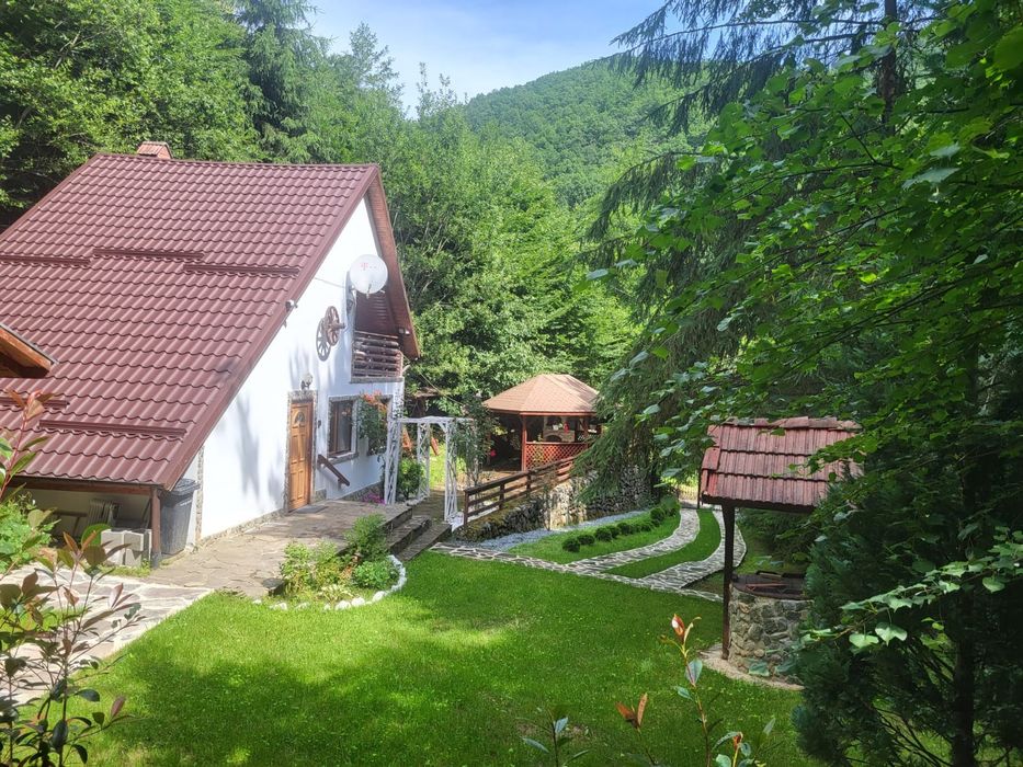 Închiriez cabana în comuna Baisoara, sat Frasinet