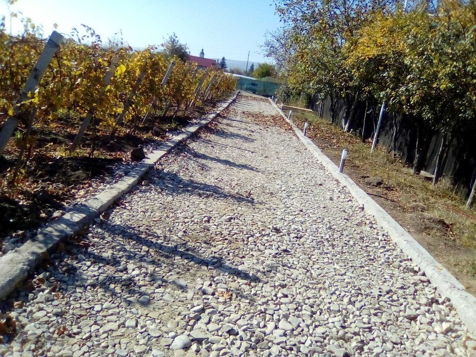 Loturi casa si vie la 10 km de Focsani in Odobesti