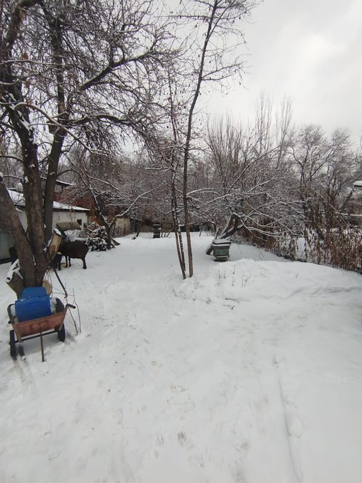 Продаётся дом в есике