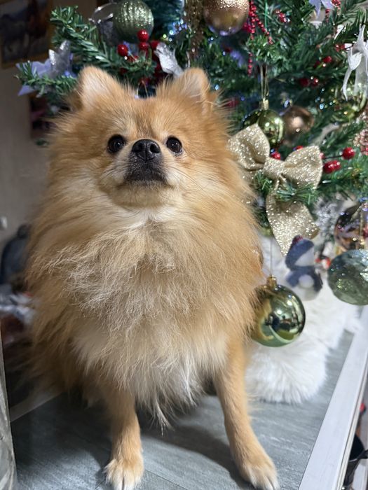 Придлогается к вязке