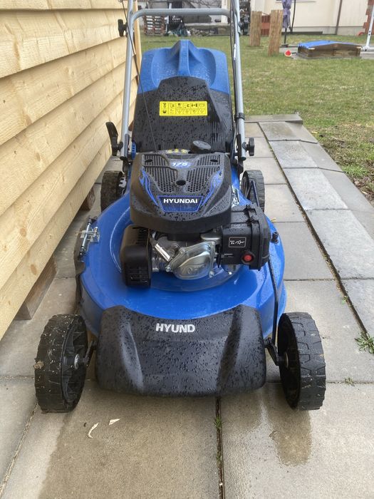 Косачка паркова