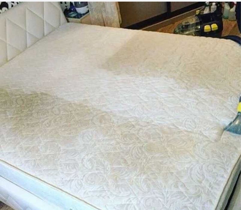 Аренда моющего пылесоса Karcher