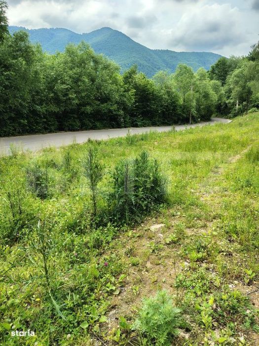 Teren zona de munte 1800 mp, cu apa de izvor, la Somesu Rece