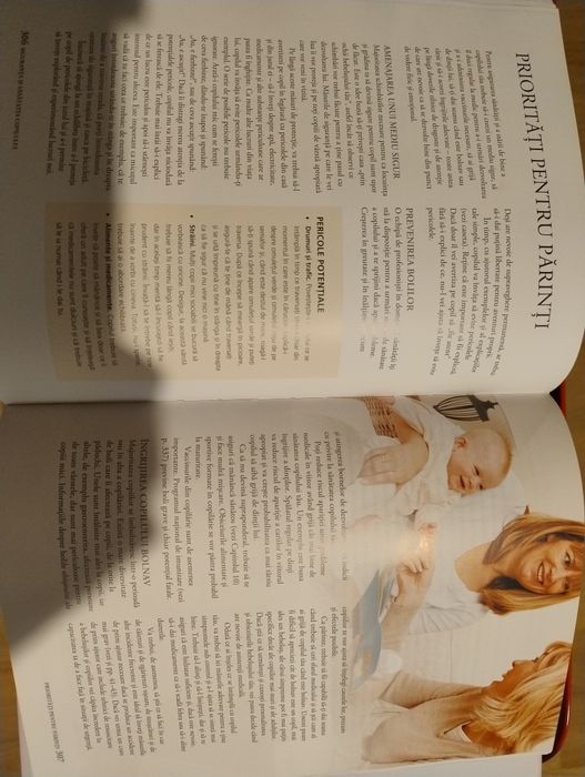 Mama si copilul.Ghid de crestere a copilului mic-A.J.R. Waterston