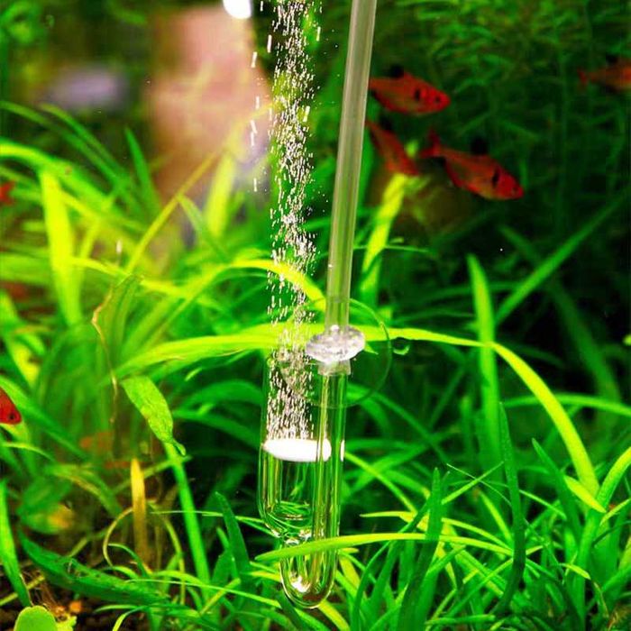 Difuzor acvariu sticla CO2, fertilizare plante, scadere ph.