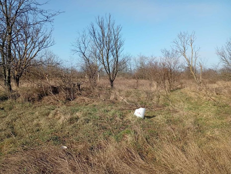 Teren de vanzare Techirghiol