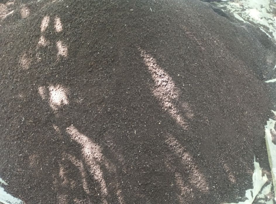 Biogomus биогомус