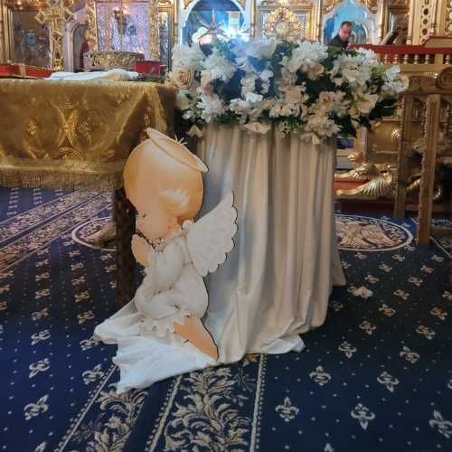 Decor Cristelnita Botez