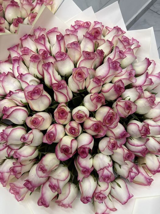 101роза свежые только через ватсаб