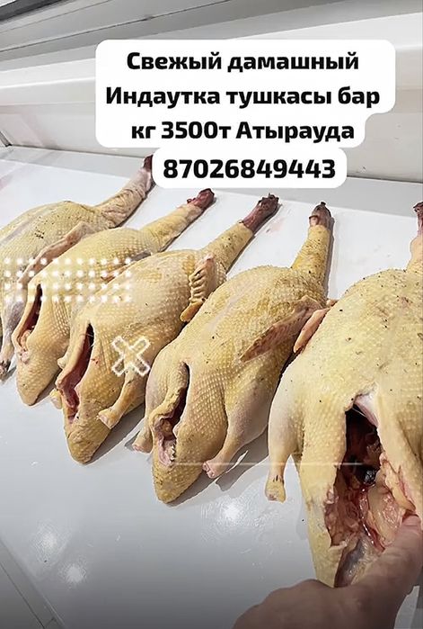 Тущка индаутка сатылады