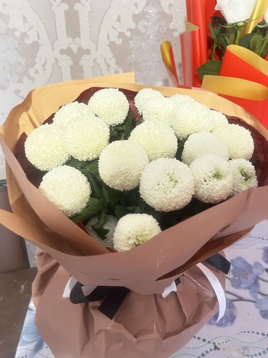 Гул сктылады срочно арзан багада